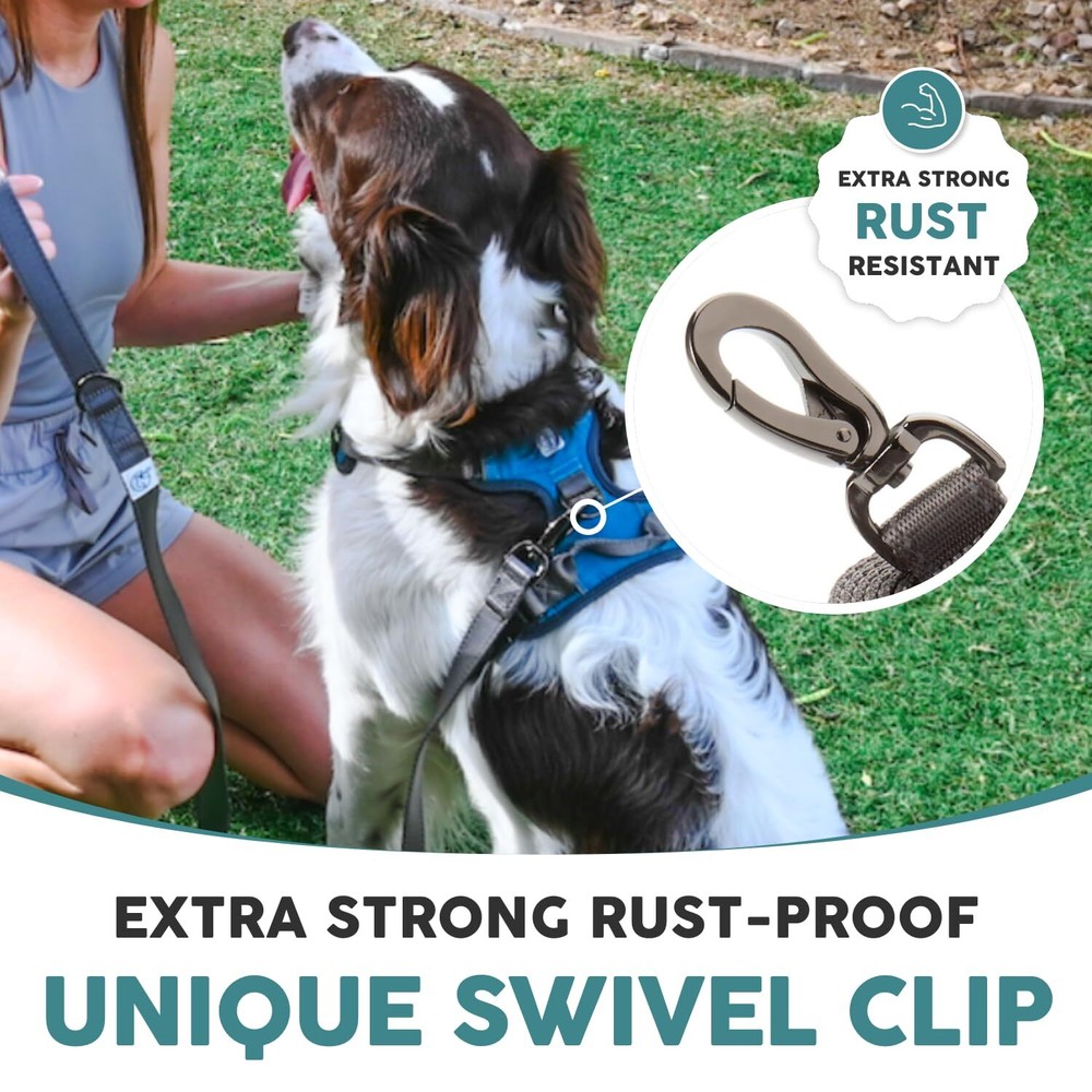 Neoprene Dog Leash - Explorer