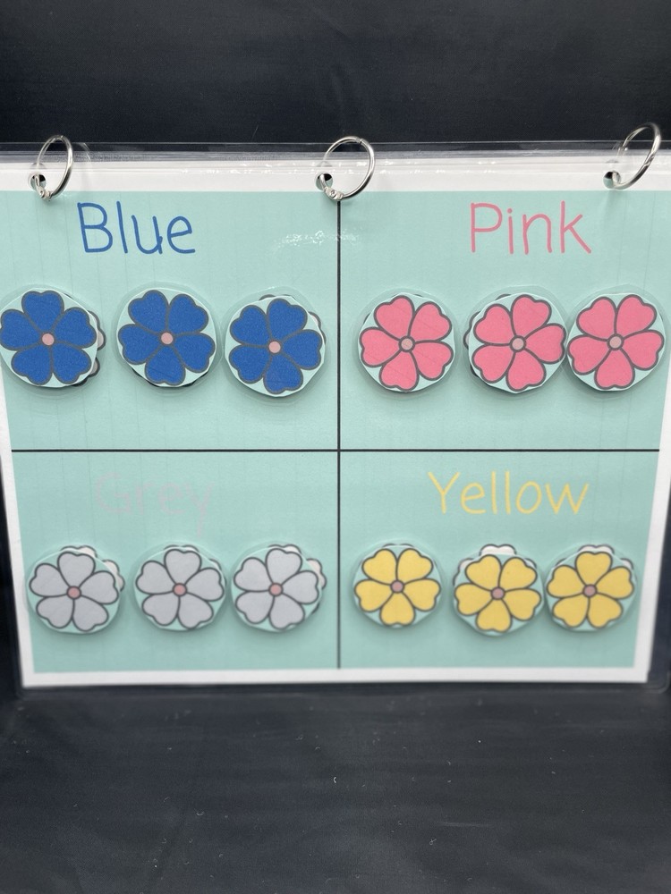 Color Sorting And Matching Children’s File Folder Activity Game Book