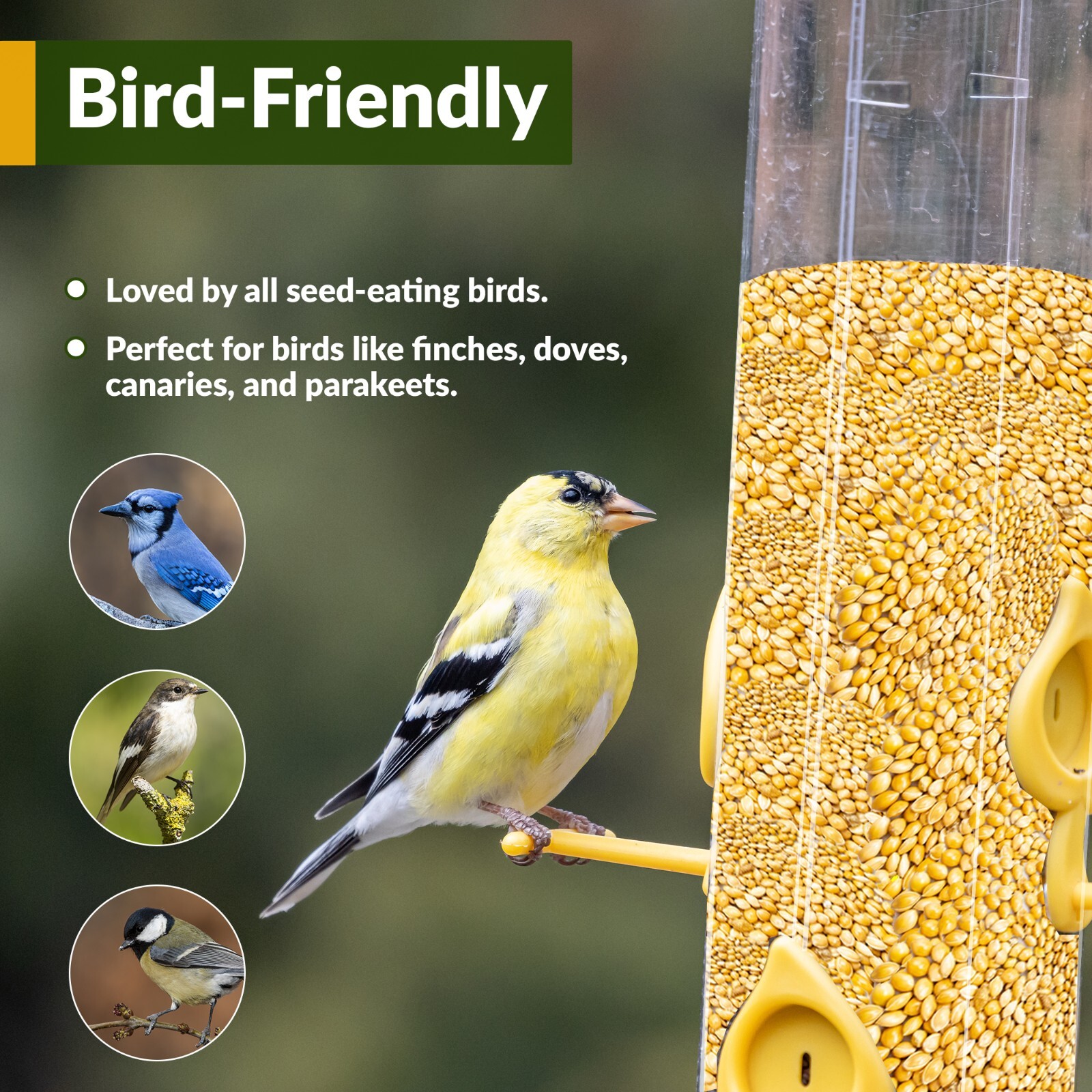 Old Potters Wildlife Organic White Millet Non-GMO USA Grown Attracts Birds 25 lb