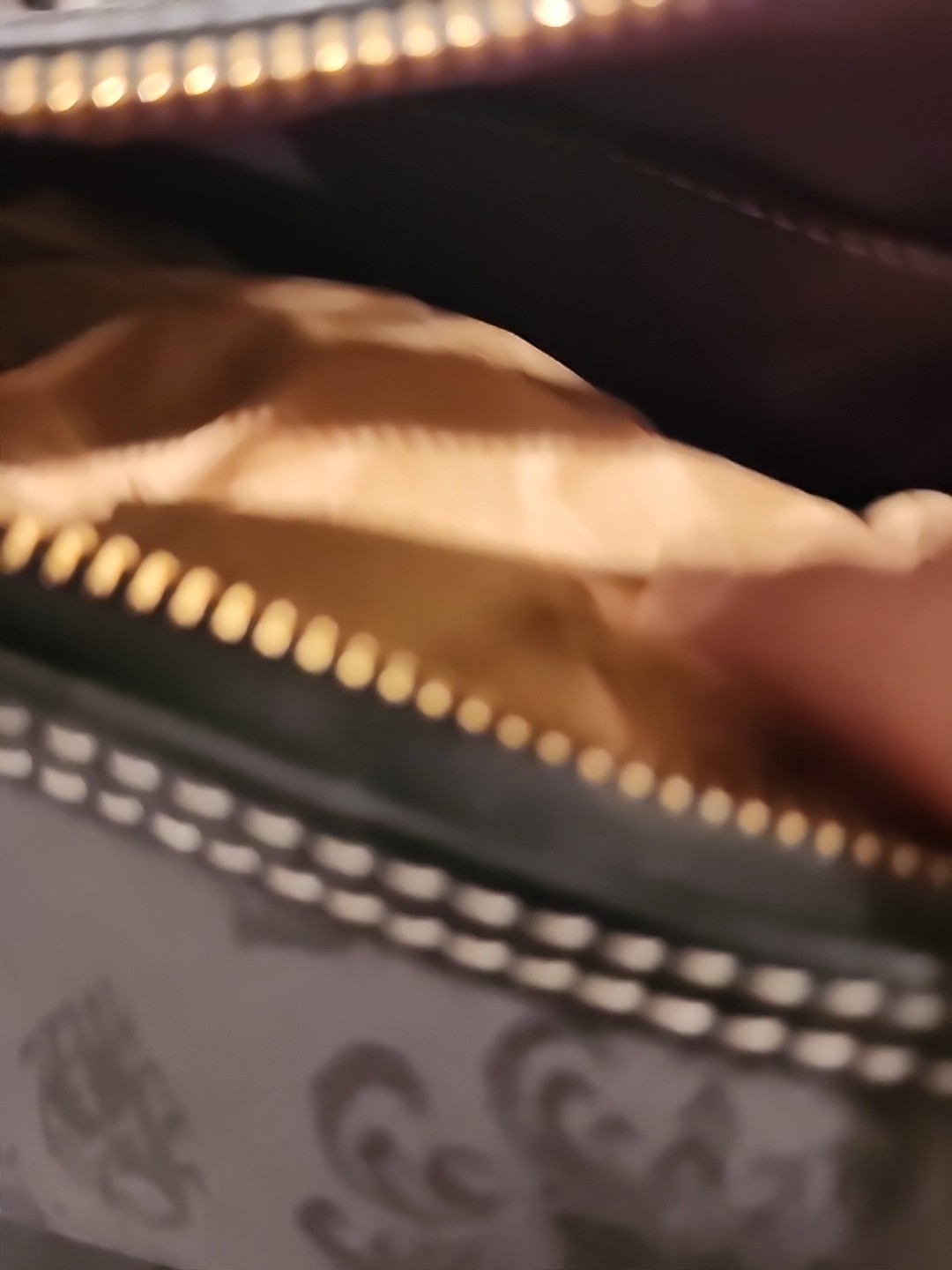 Disney Dooney & Bourke Haunted Mansion Wallpaper print Hobo Bag Purse Tassels