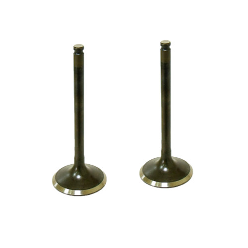 NEW HONDA TRX 70 1986-1987 SHINDY INTAKE & EXHAUST VALVES & VALVE GUIDE SEALS