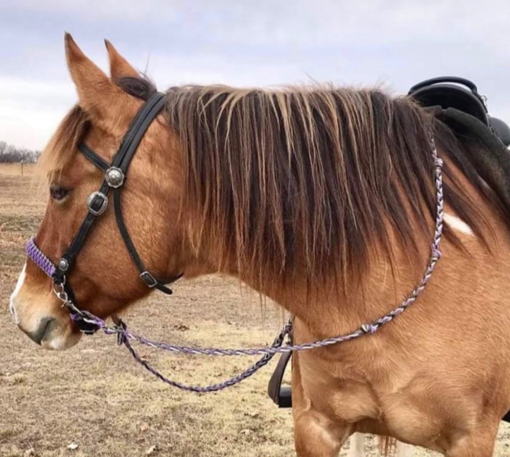 side pull hackamore attachment lilac with black or brown chinstrap....all sizes
