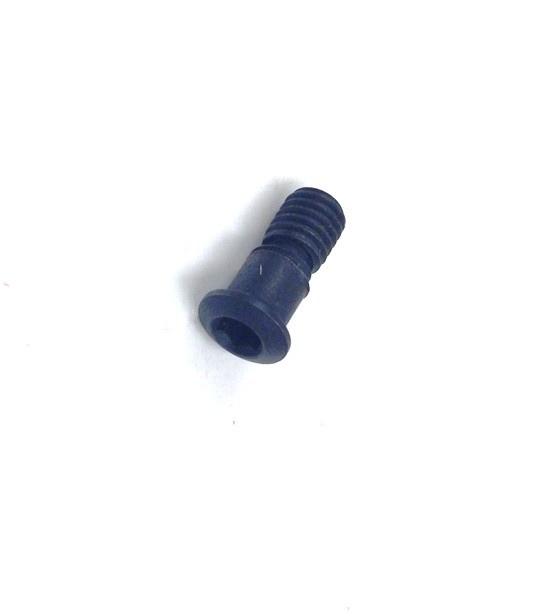 CTFP-M5 3.0MM HEX DRIVE INSERT SCREW (2100-0078)
