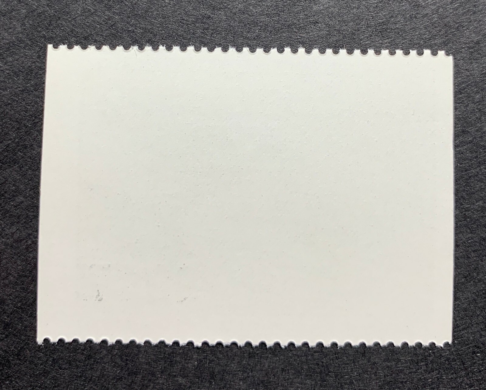 WTDstamps - 1992 SOUTH DAKOTA - State Duck Stamps - Mint OG NH