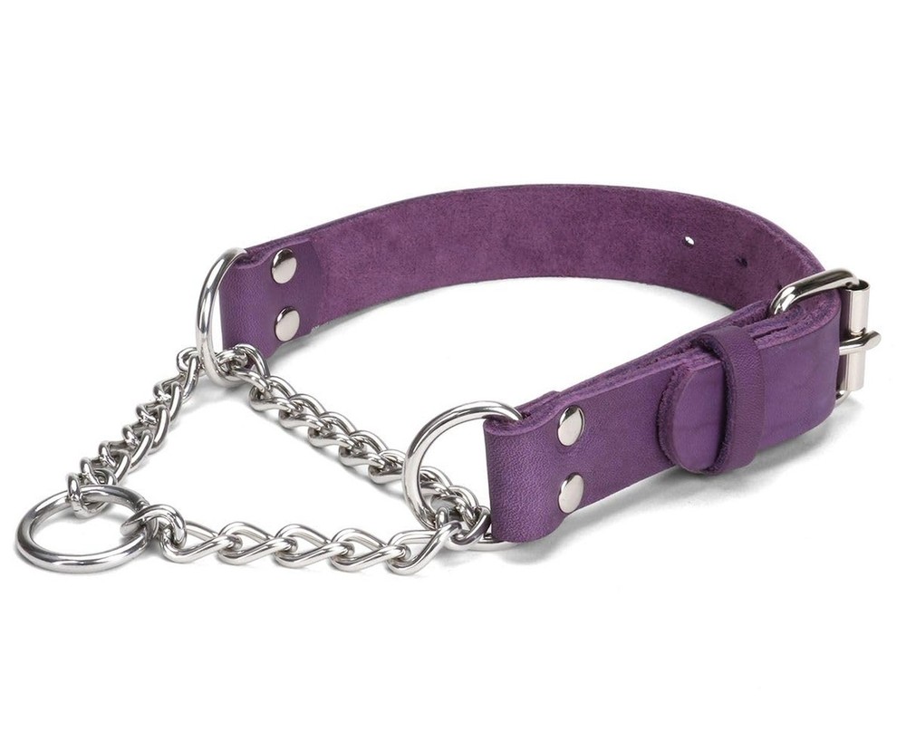Martingale Collar for Dogs No-Pull Adjustable Training Collar with Stainless ...