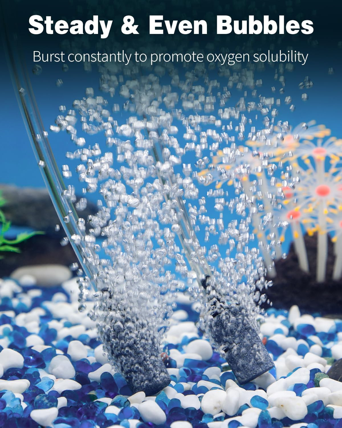 Pawfly Aquarium Air Stone 1 Inch, Fish Tank Air Stone Aerator Bubble Diffuser fo