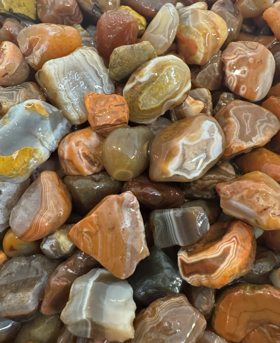 One Pound Lot 🔥 Lake Superior Agates * Free Shipping! Over 100 Unique Gems 1lb.