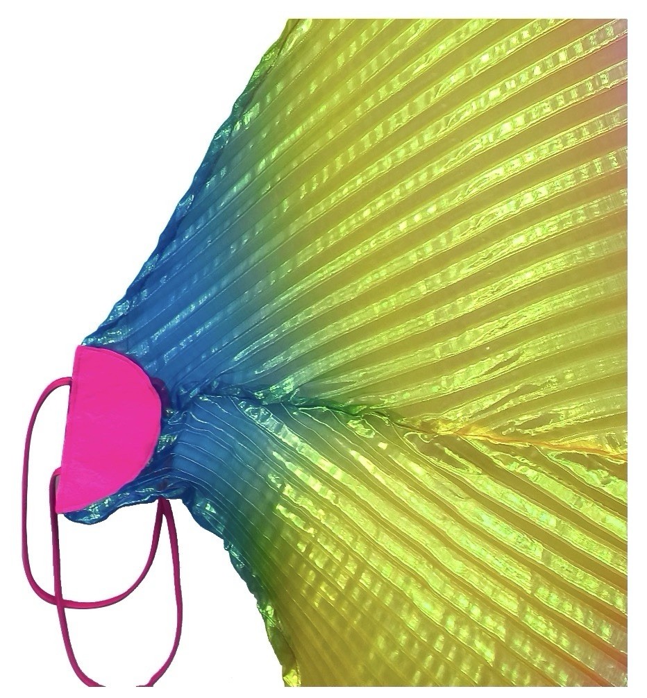 WAY TO CELEBRATE Adult Halloween Rainbow Wings • One Size