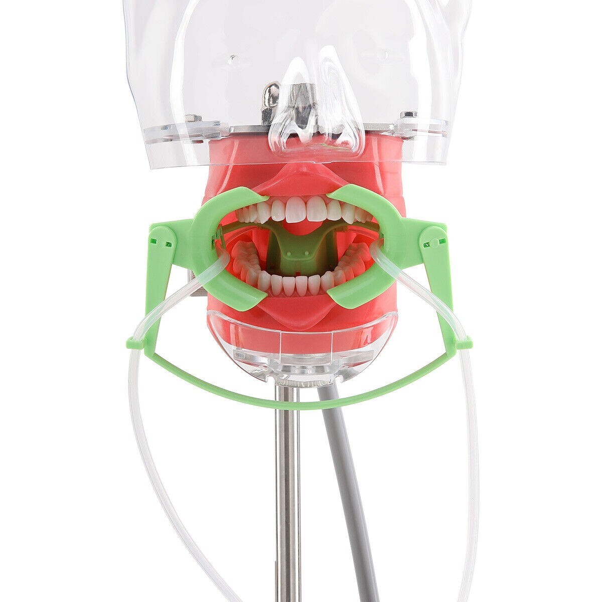 Dental Ortho Nola Dry Field System Lip Cheek Retractor Mouth Opener Suction Tube