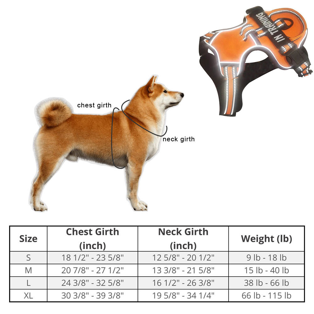 No-Pull Dog Pet Harness + Leash Reflective Control Adjustable Collar Handle