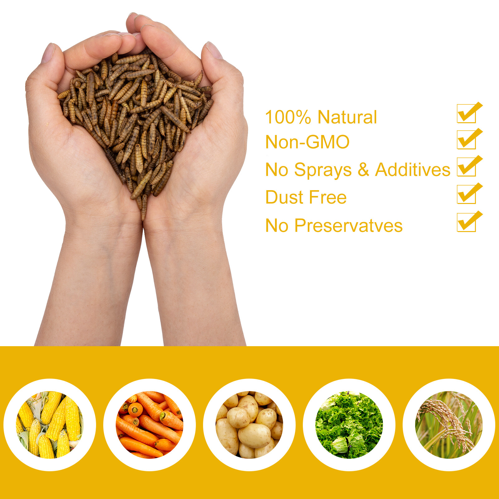 22 LBS Dried Black Soldier Fly Larva High Calcium Treats for Chickens Birds