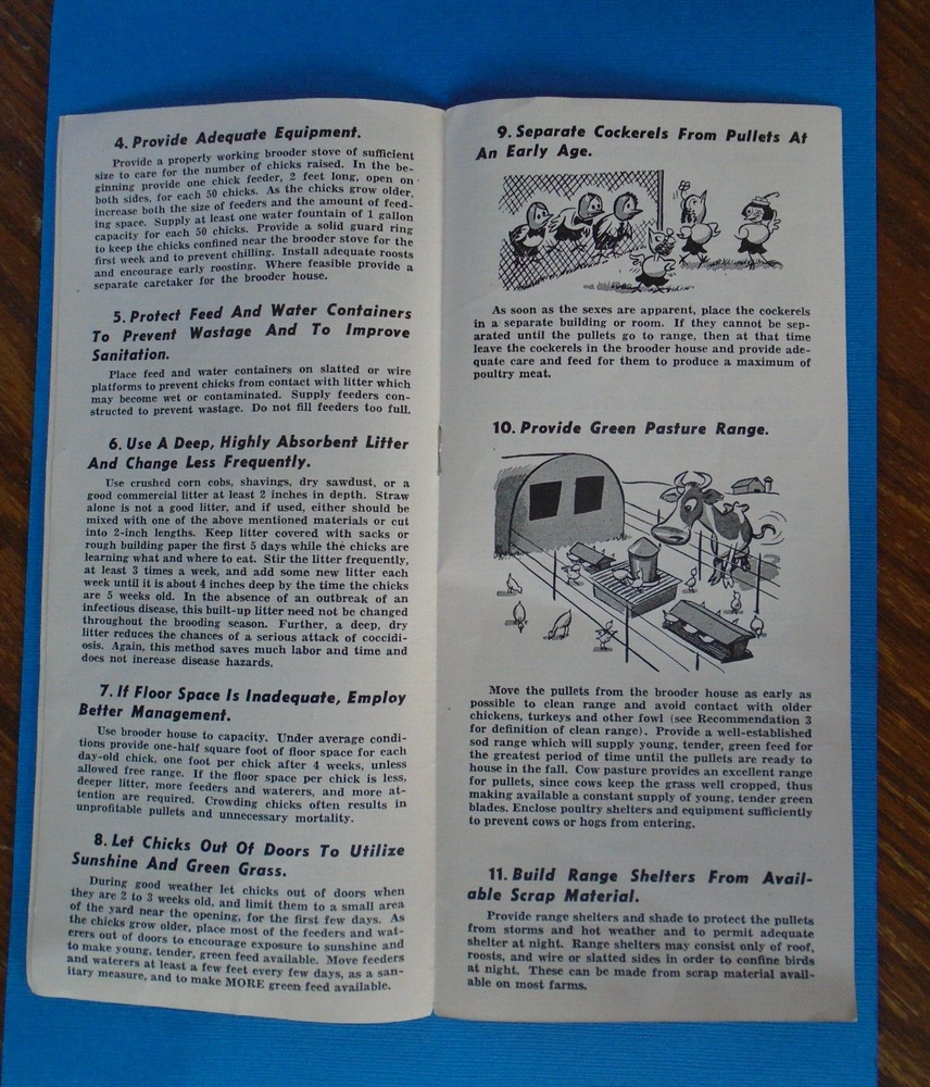 WWII Chicken brooding & Rearing Program for Victory brochure
