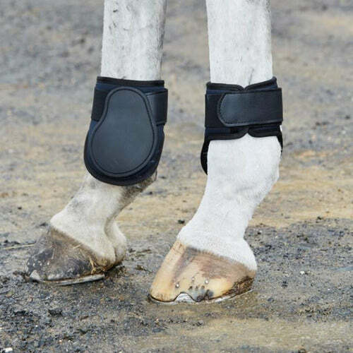 Weatherbeeta Dynamic Fetlock Boots CLOSEOUT
