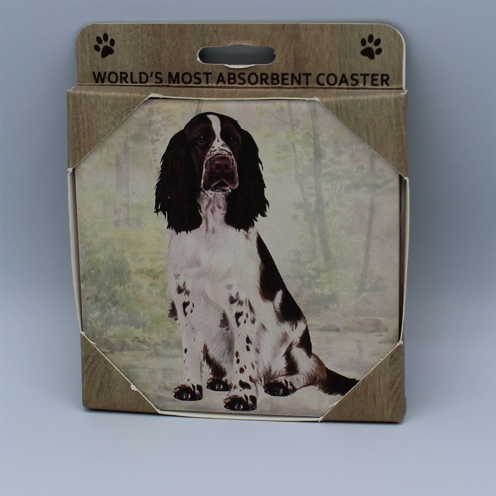 World's Most Absorbent Stone Coaster Springer Spaniel Dog