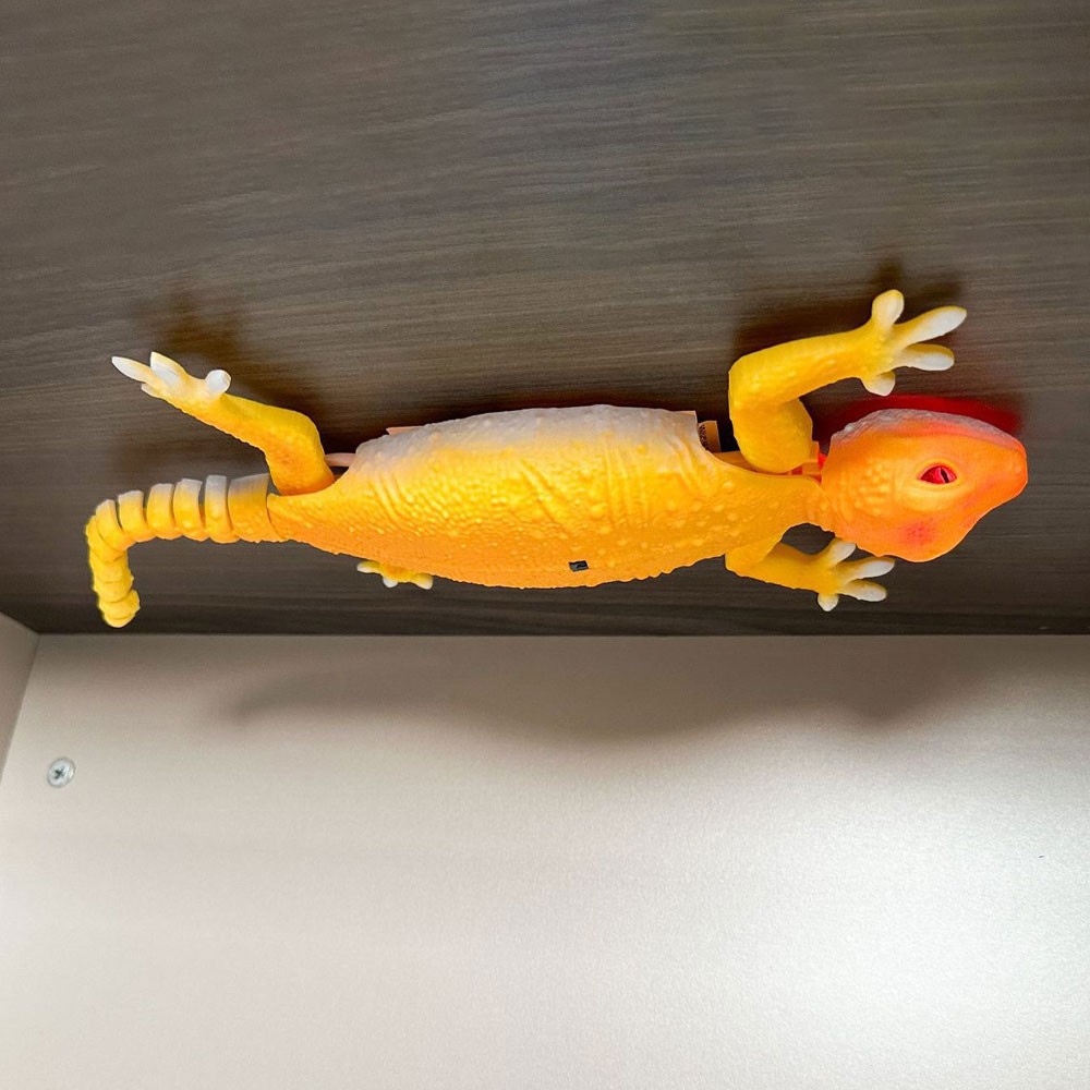 Wall Climb Gecko Toy Remote Control Interactive Game Wall Crawler Robot Kid Gift