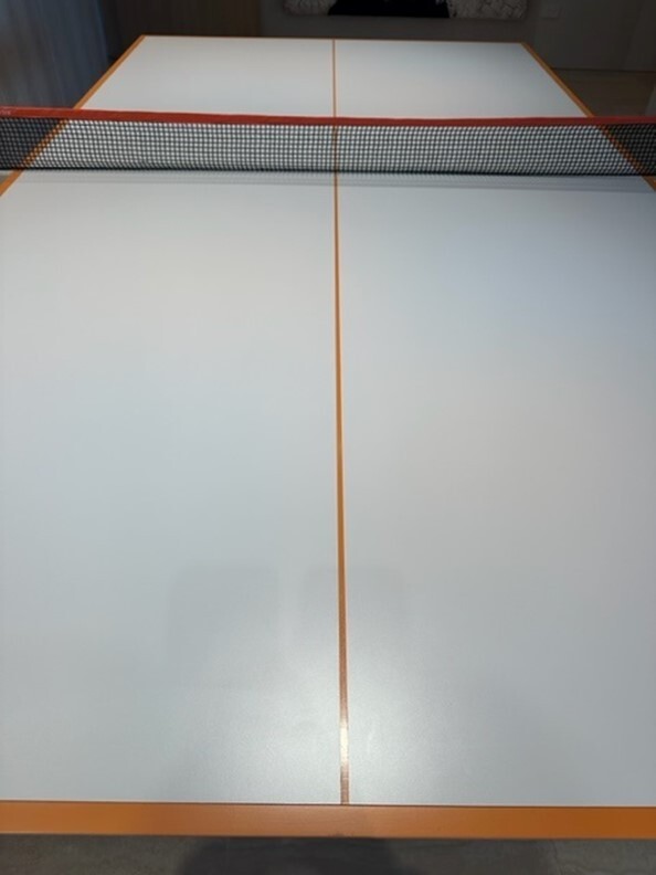 11 Ravens Hamptons Ping Pong Table - Excellent Condition!