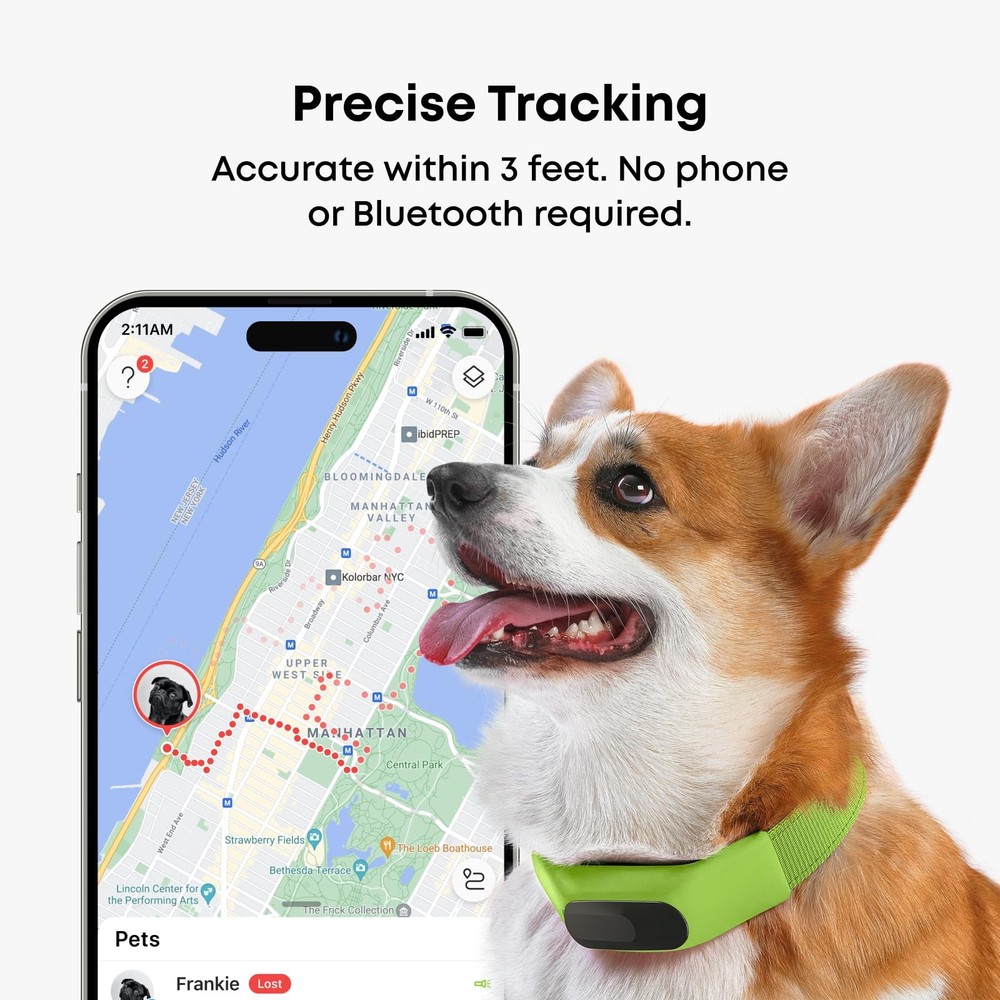 Collar - Reliable GPS and Activity Tracker for Dogs