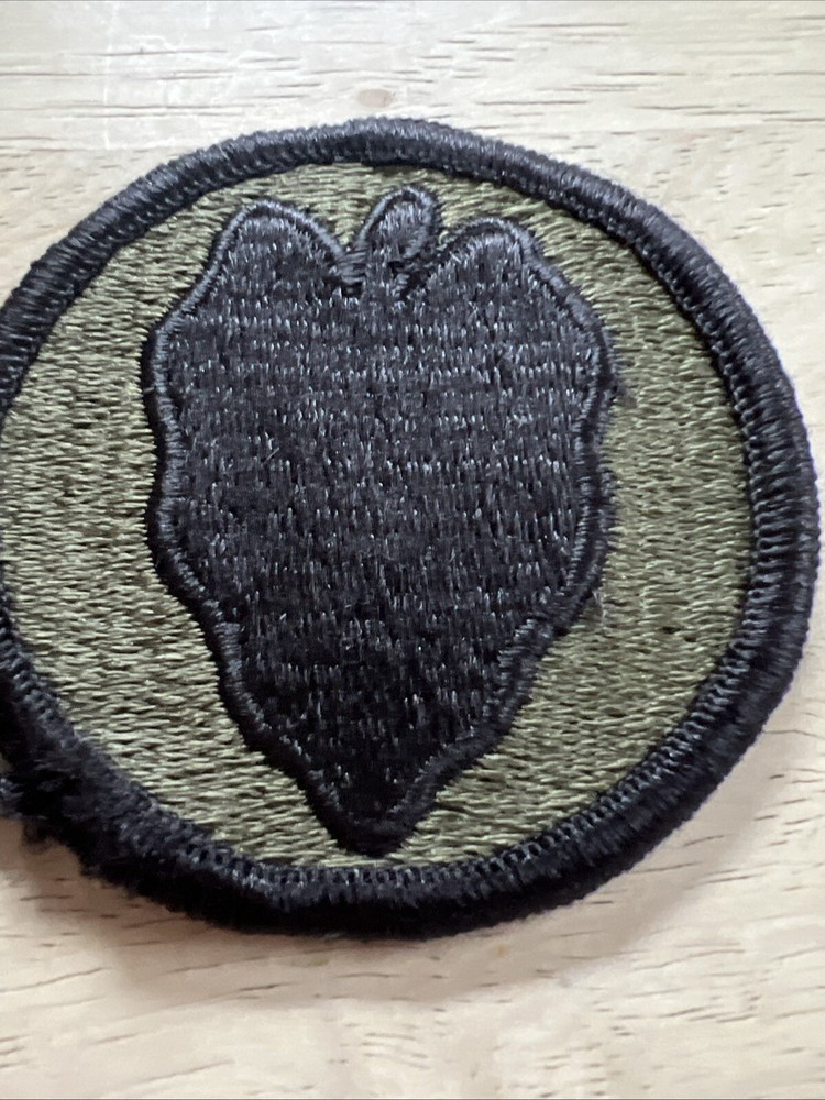 Vietnam War Era US Army 24th Infantry Subdued Patch