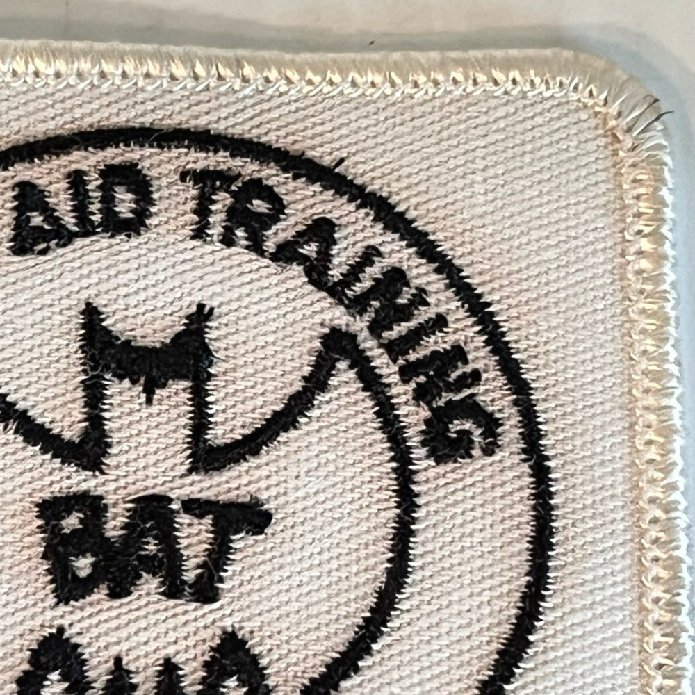 American Red Cross Basic Aid Training 3x2¾ patch