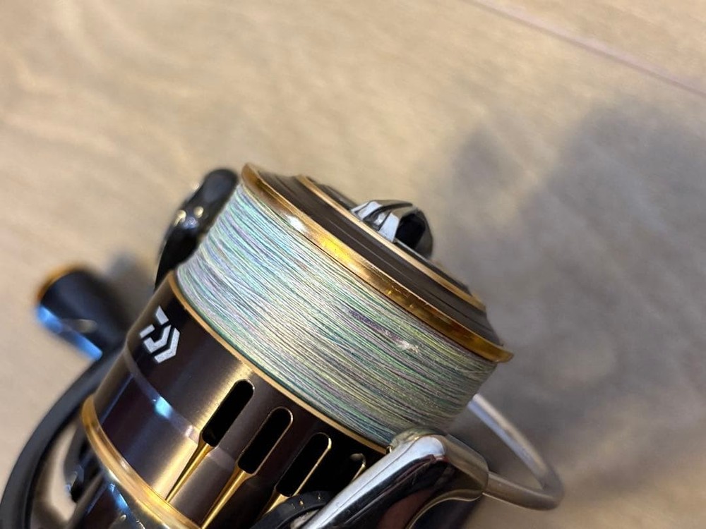 With Bonus Daiwa Theory 2506