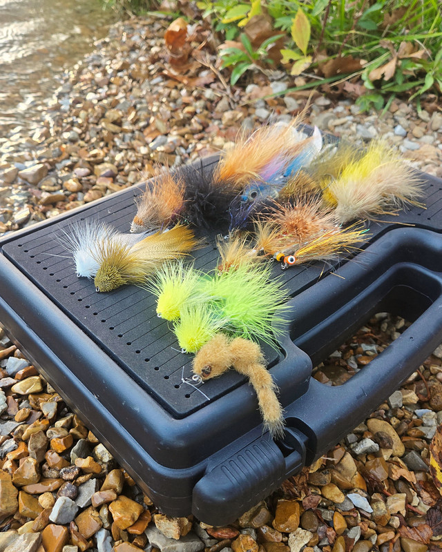 Boat fly box for large flies and streamers
