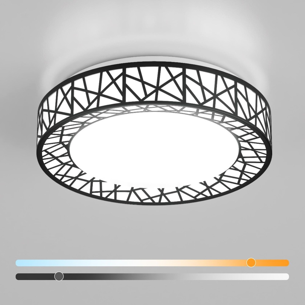12 Inch Flush Mount Ceiling Light, Modern Black LED Ceiling Light Fixture, 20...