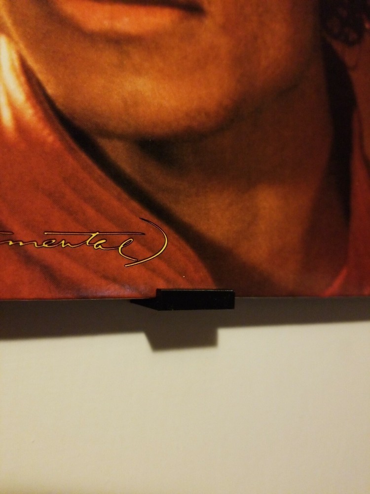 (10) Vinyl Record Wall Mount Display 3D Printed Bracket Hanger (10 pack)