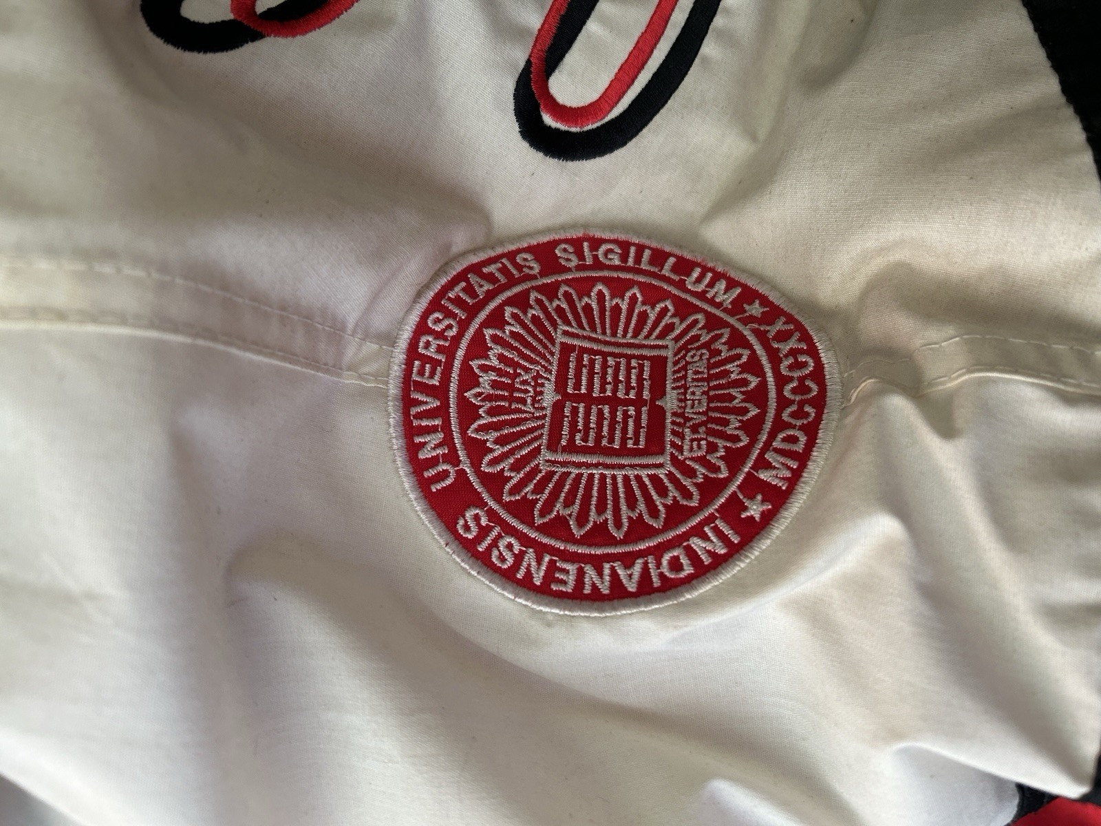 Vintage Pro Player IU Puffer jacket