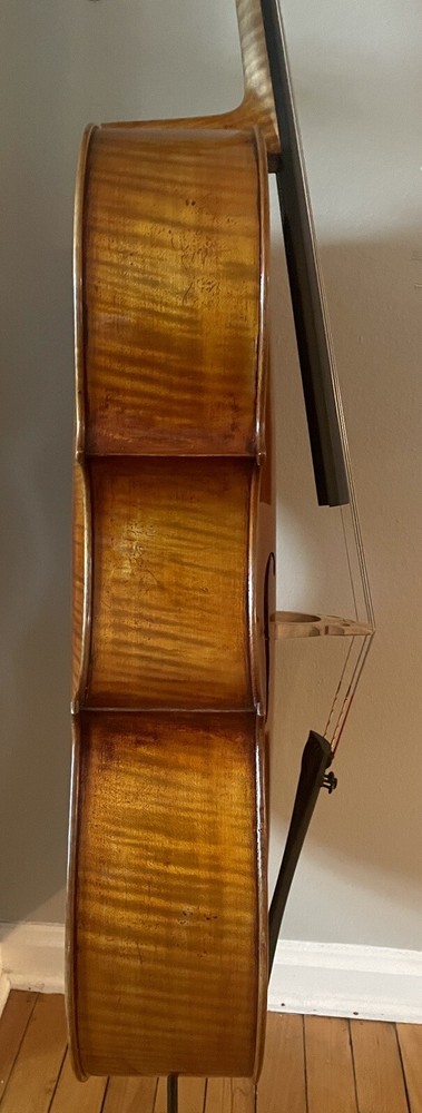 Raúl Emiliani cello