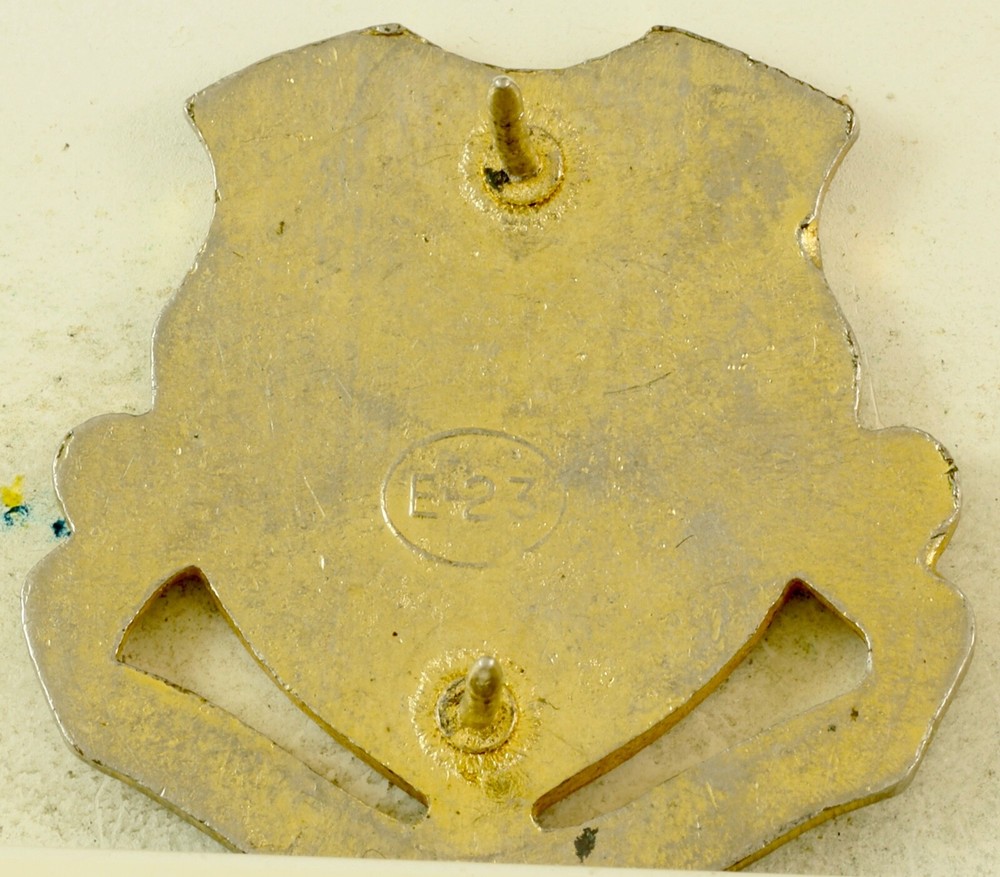 81st Armor Crest DI/DUI CB E23 HM