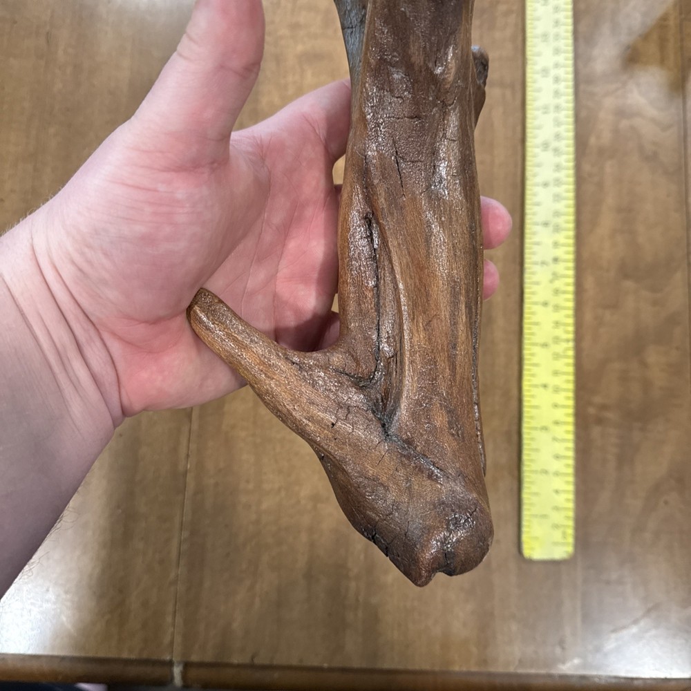 Driftwood Art Or Decoration