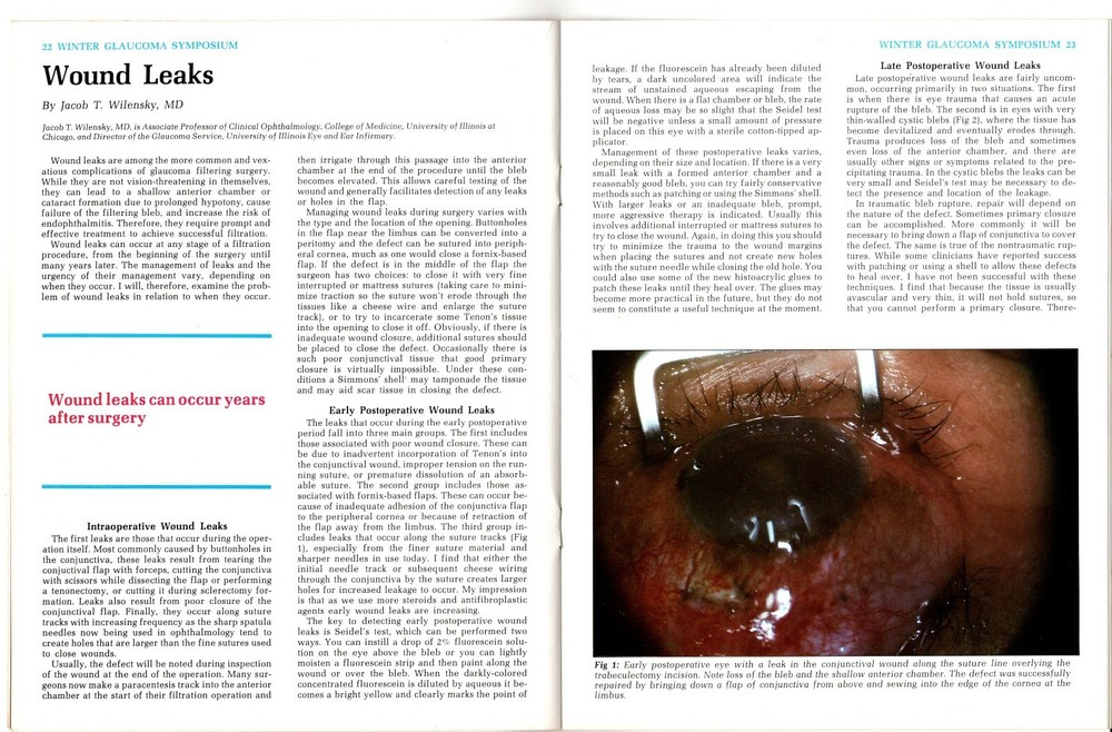 Third Annual Winter Glaucoma Symposium - Cancun, Mexico 1987 - Synopsis Program