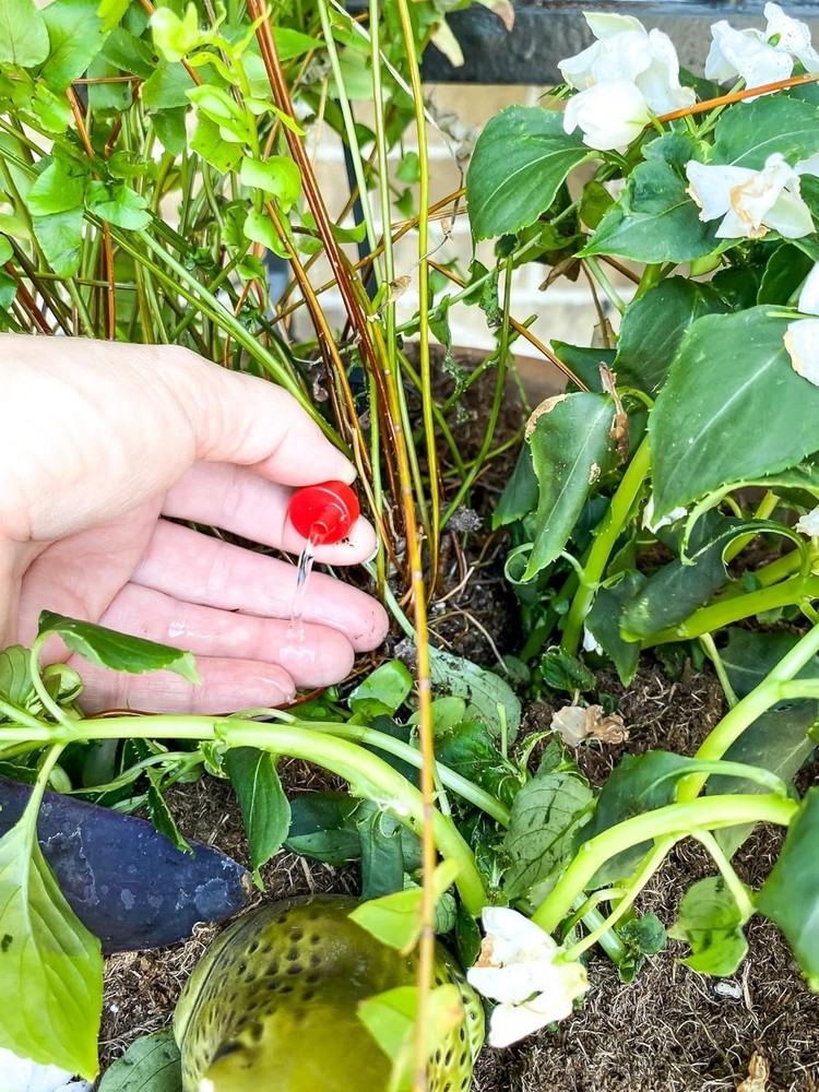 Self-Piercing Drip Irrigation Emitters: 2 GPH, 10-Pack for Easy Installation
