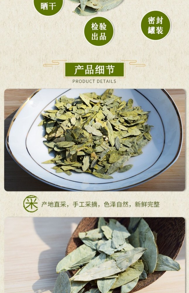 All Natural Grass Plant 番泻叶100g罐装 拉肚子 泻热行滞 通便利水 便秘 热结积滞