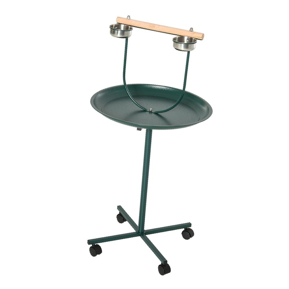 Bird Training Activity Playground with
