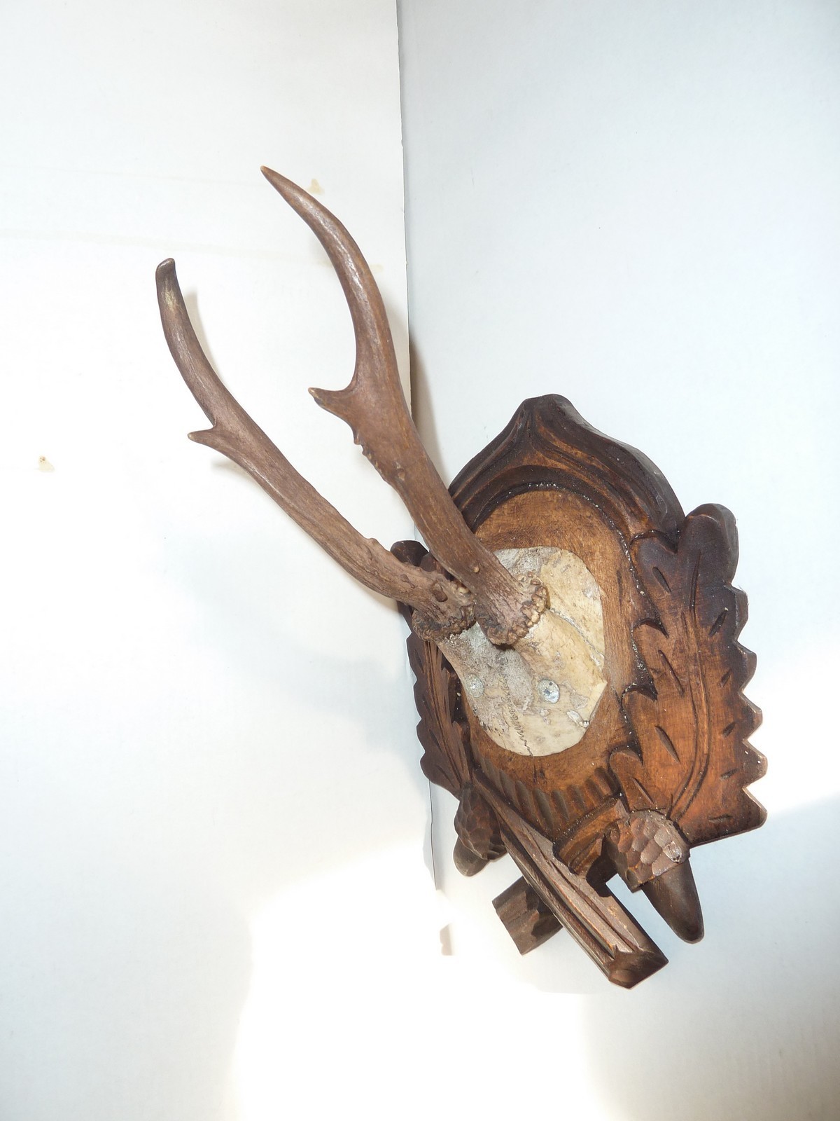 PAIR BLACK FOREST CARVED ROE DEER ANTLERS MOUNTS