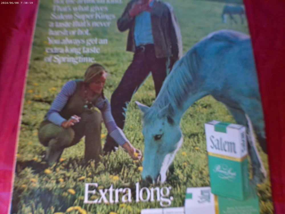 1971 Salem Cigarettes Print Ad 10" x 13"
