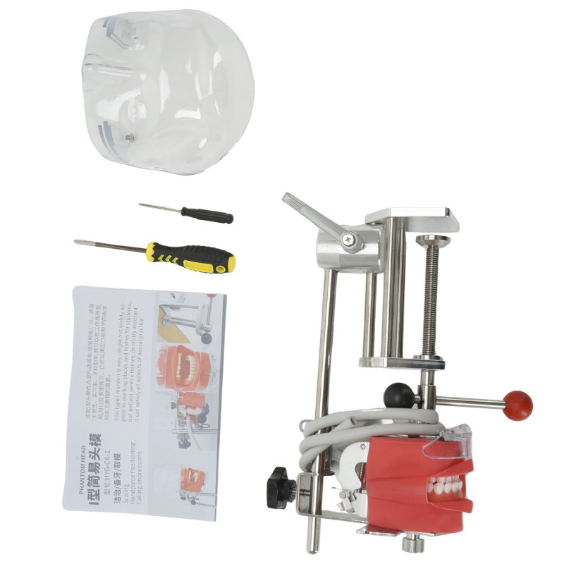 Dental Simulator Manikin Phantom Head Model w/ Removable Teeth for Training