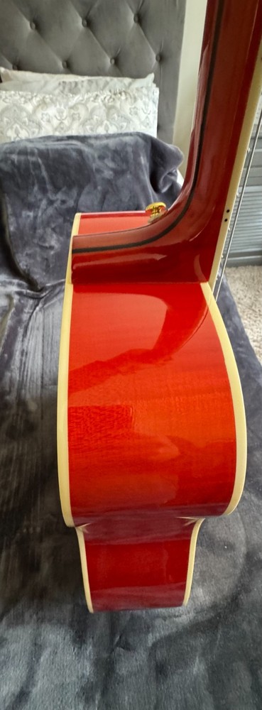 Doves in Flight Tribute Guitar