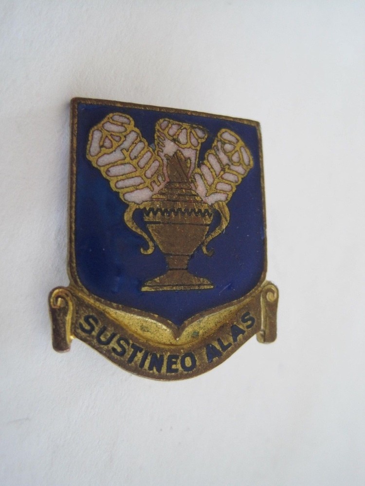 Military Pin Back Sustineo Alas Vintage