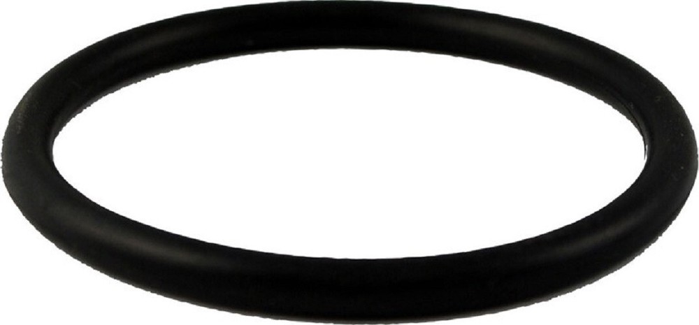 Aqua UV O-Ring For Union A40121
