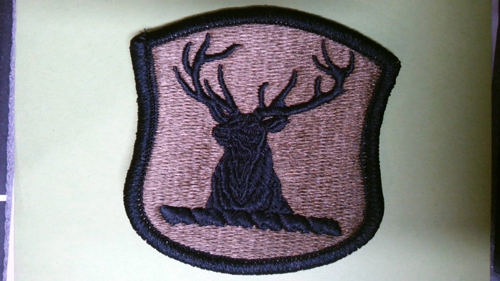 MILITARY PATCH HOOK AND LOOP OCP MULTICAM US ARMY IDAHO NATIONAL GUARD