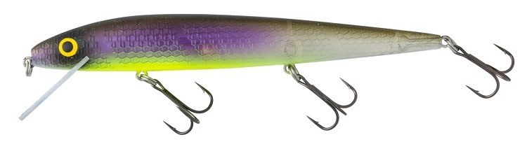 Smithwick Perfect 10 Rogue - FX Northern Light