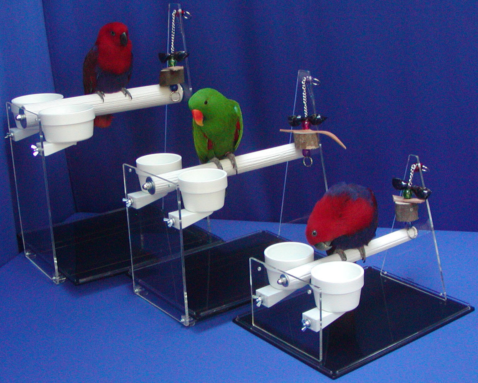 10 oz Lixit FOOD WATER QUICK-LOCK crocks bowls parrot bird dog cat dish pet cups