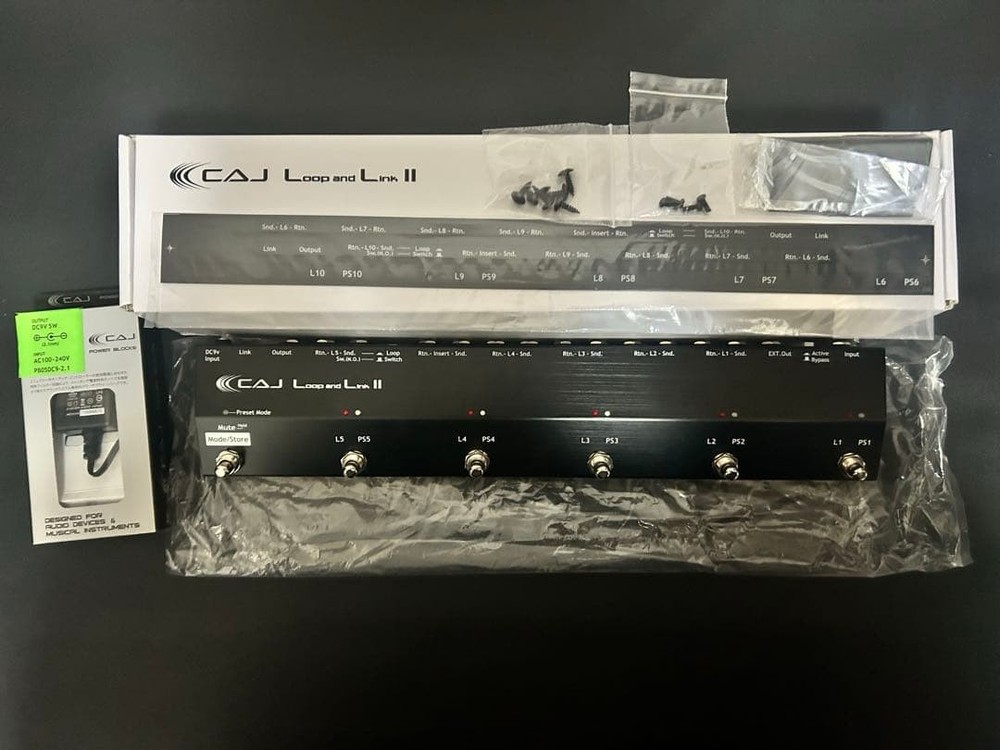 CUSTOM AUDIO JAPAN Loop and Link II