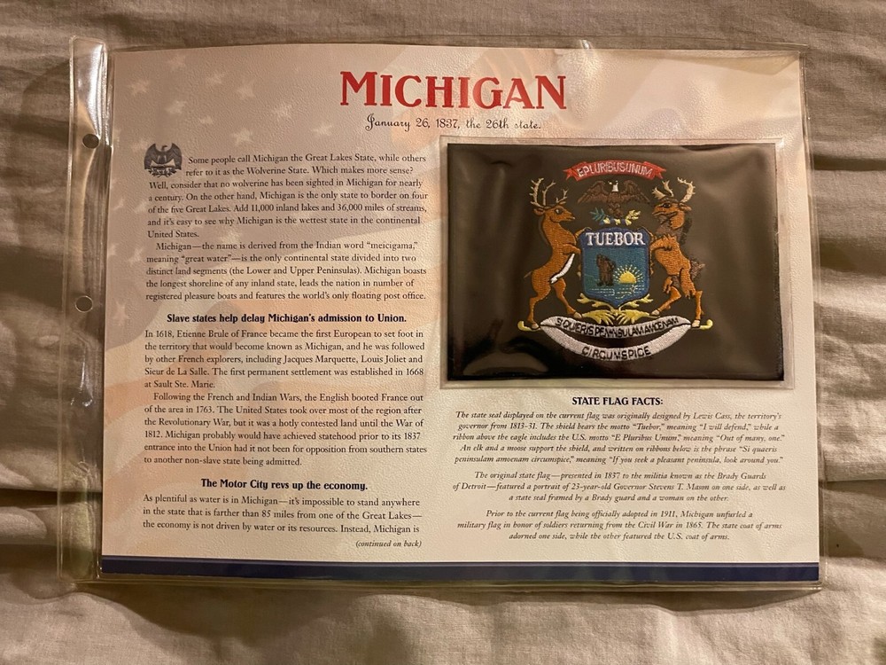 WILLABEE & WARD FLAG PATCH PANE ****MICHIGAN