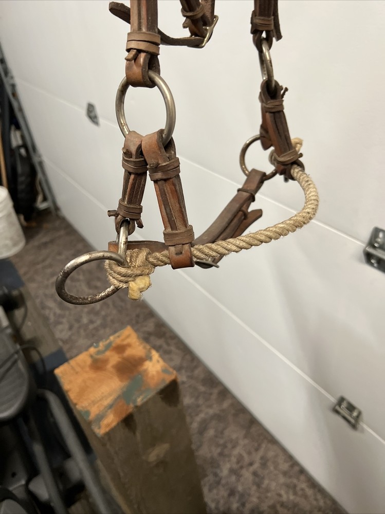 Tory Leather Harness Double Nose Side Pull