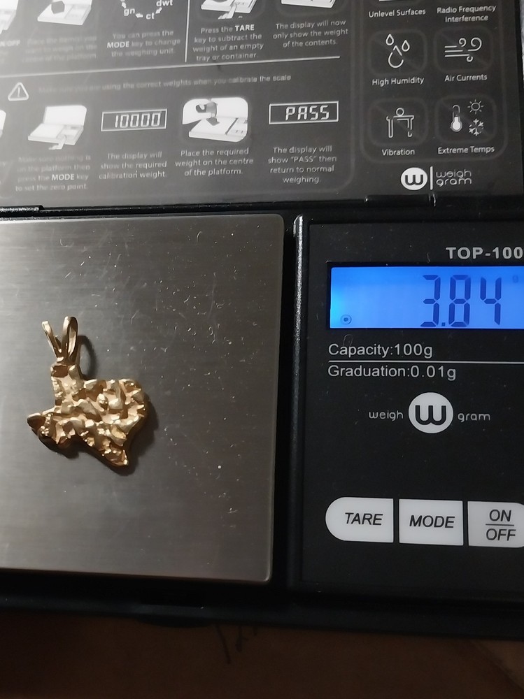 Gold Texas Pendant No Chain