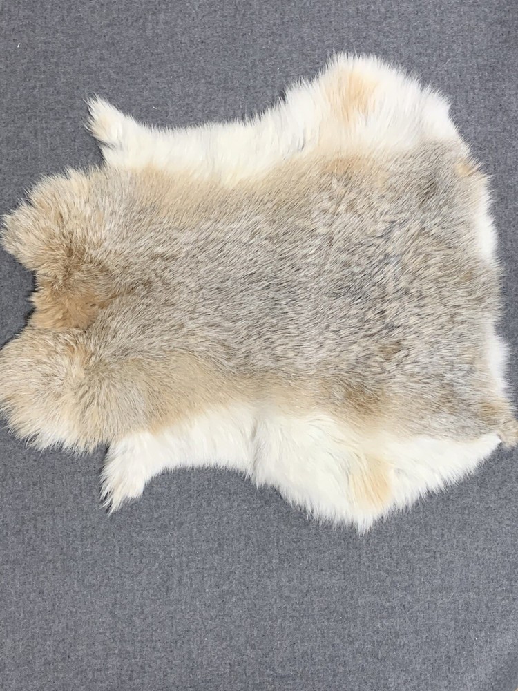 Printed Rabbit Pelt: Big Horn Sheep