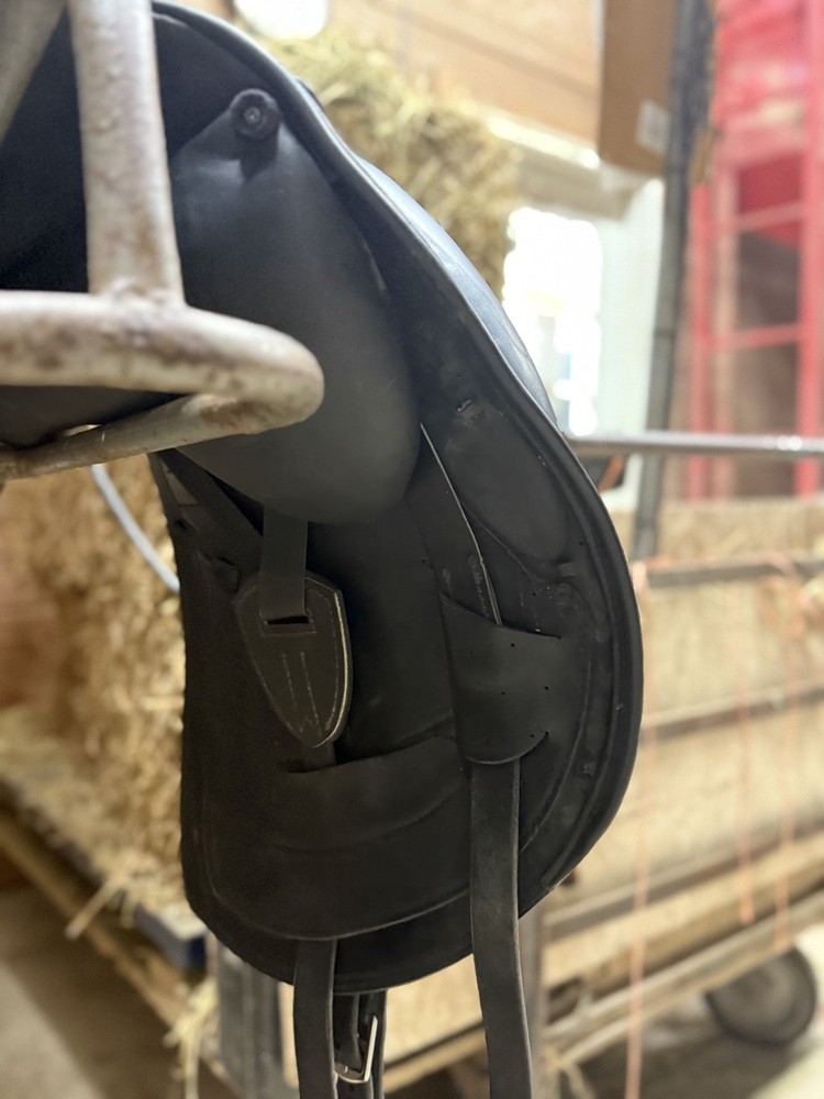 17"/17.5" Erreplus Freestyle (2019) w SL Panel